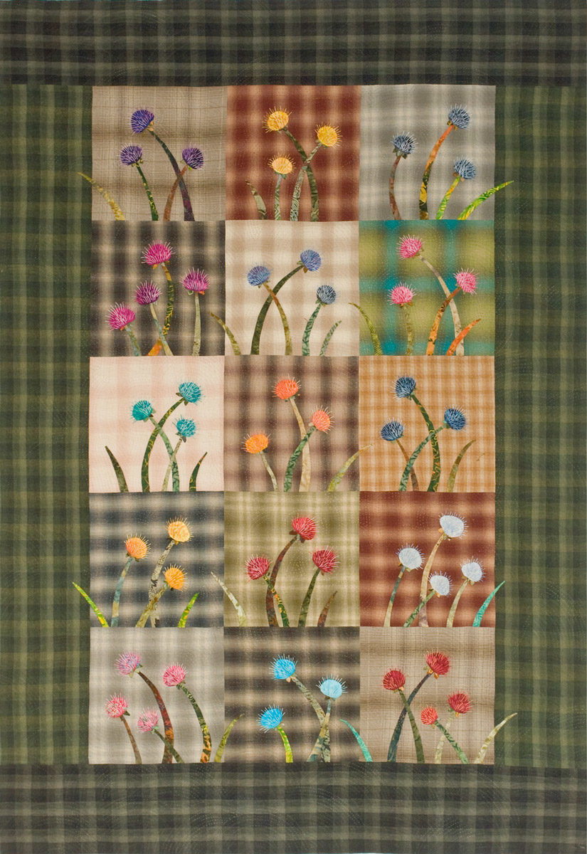 Bright pincushion flowers